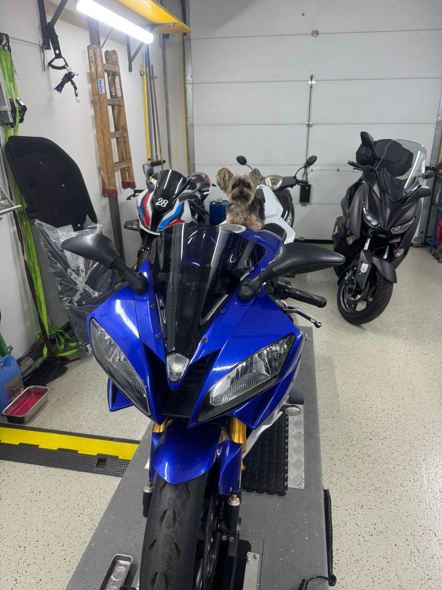 Motodoctor Projektfoto 66